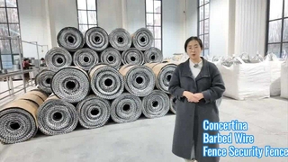 Hochsicherer Stacheldraht für Hauswände