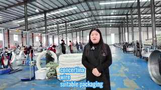 Wie viele Rollen Ziehharmonika-Drahtspulen sind für die Verpackung geeignet?