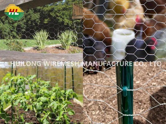 Galvanized Steel Hexagonal Wire Netting 1.2x25x0.9mm
